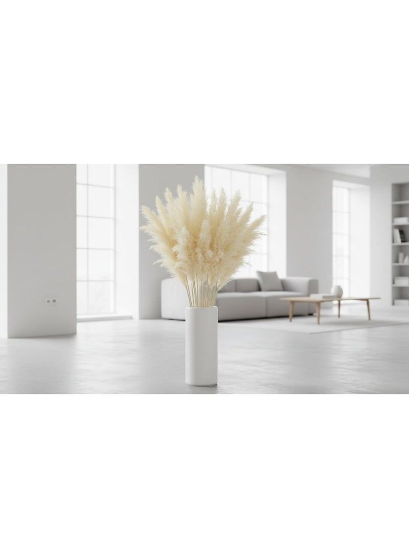 FANCY FLOWERS FANCY Natural Dried Pampas Grass, 70 cm Extra Fluffy Cream White Stems for Home Décor  3 - Image 5